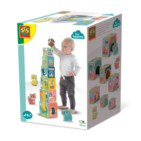 107722963_6545656725